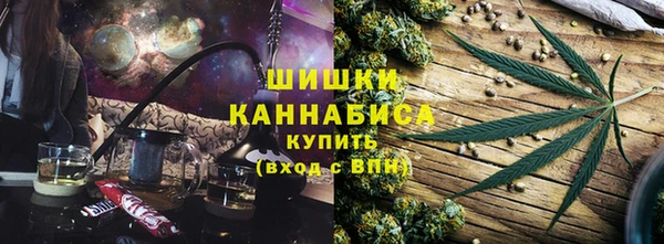 прущие грибы Алзамай